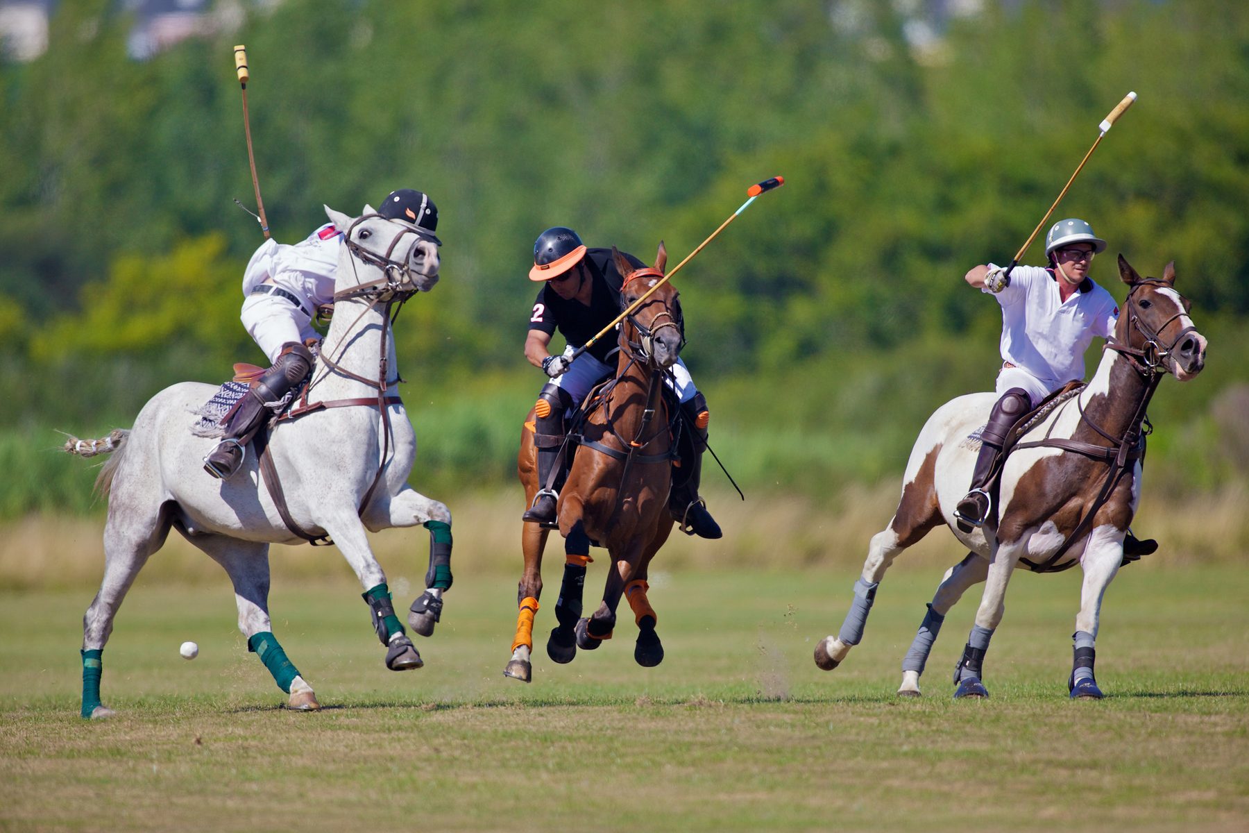 Polo players competing during a match.
